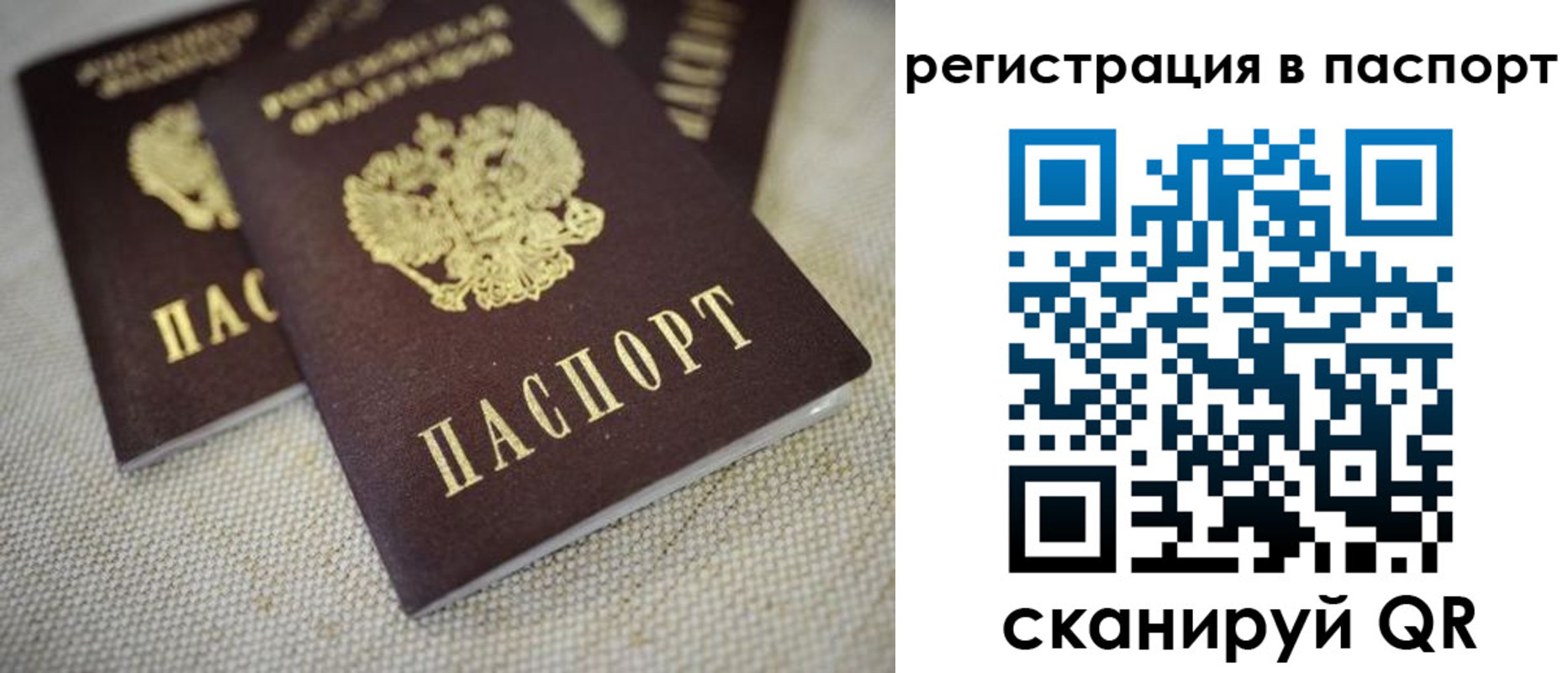 прописка гарантия в Кировской области
